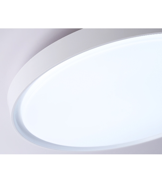Потолочный светодиодный светильник Ambrella light FZ1246 WH белый IP54 12W 5000K D240*60 (Без ПДУ)