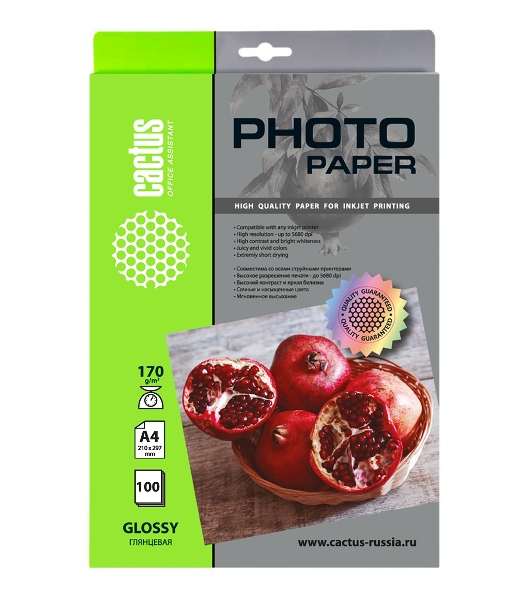 Фотобумага Cactus CS-GA4170100 A4/170г/м2/100л./белый глянцевое для струйной печати