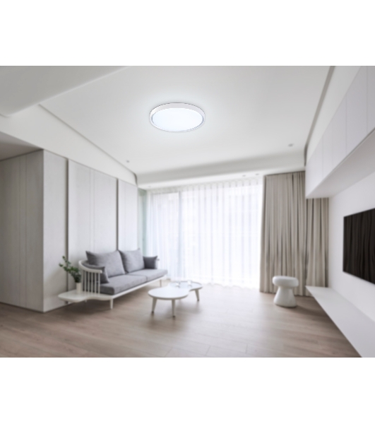 Потолочный светодиодный светильник Ambrella light FZ1246 WH белый IP54 12W 5000K D240*60 (Без ПДУ)