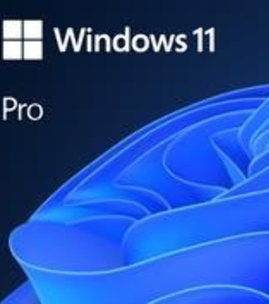 Операционная система OEM WIN 11 PRO 64B ENG 1PK FQC-10528 MS