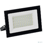 Прожектор LED IEK LPDO501-100-65-K02-G СДО 001-100 6500К IP65 черный GENERICA, фото 1