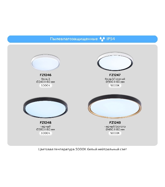 Потолочный светодиодный светильник Ambrella light FZ1247 WH/BK белый/черный IP54 20W 5000K D300*60 (Без ПДУ)