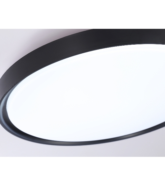 Потолочный светодиодный светильник Ambrella light FZ1248 BK черный IP54 30W 5000K D380*60 (Без ПДУ)
