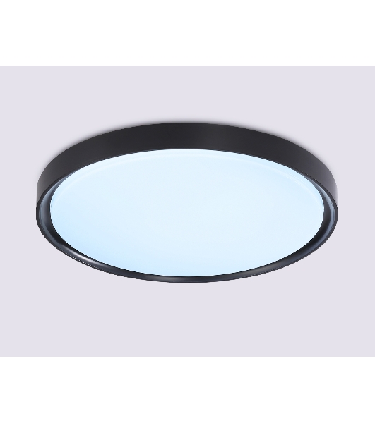 Потолочный светодиодный светильник Ambrella light FZ1248 BK черный IP54 30W 5000K D380*60 (Без ПДУ)