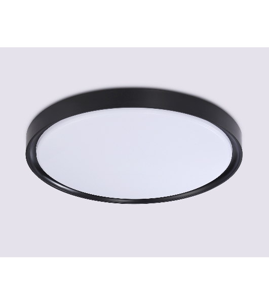 Потолочный светодиодный светильник Ambrella light FZ1248 BK черный IP54 30W 5000K D380*60 (Без ПДУ)