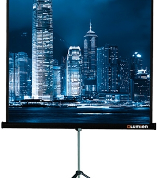 Экран на треноге Lumien 220x165 см Master View LMV-100113 4:3 напольный рулонный