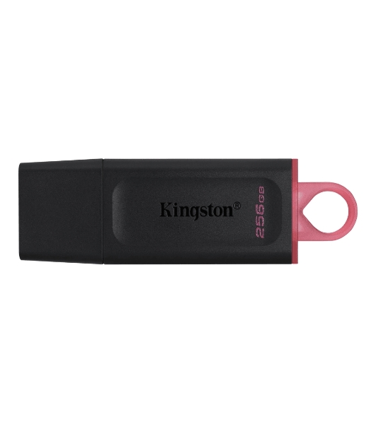 Флешка USB Kingston DataTraveler Exodia (DTX/256GB), 256Gb, USB 3.2 Gen 1, R/W 200/60, черный/розовый