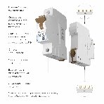 Автоматический выключатель Werkel 1P  32 A  C  4,5 кА W901P324, фото3