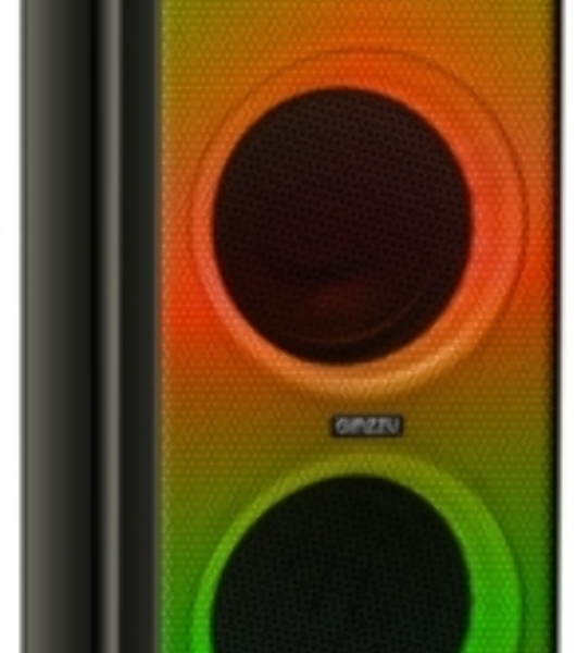Акустическая система Midi TWS/BT/USB/TF/FM/ДУ GM-215 черный