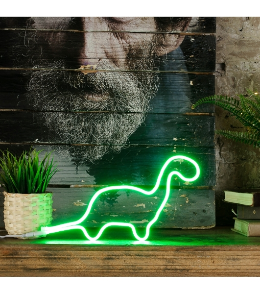 Набор для создания неоновых фигур Neon-night 'Креатив' 120 LED, 1 м, зеленый