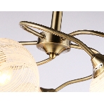 Светильник Ambrella light TR3199/5 SB/CL/FR бронза/прозрачный/белый матовый E27/5 max 40W D600*485, фото 1