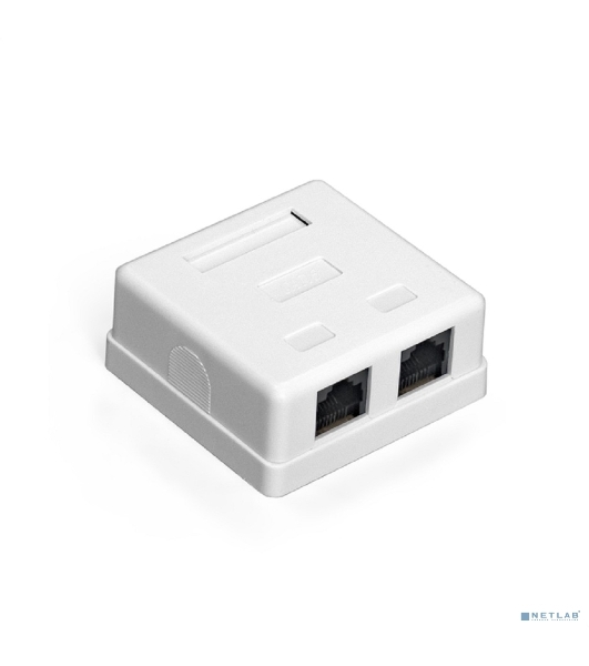 Розетка компьютерная двойная ExeGate SM2-RJ45-C6 RJ-45 кат.6 UTP Krone/110