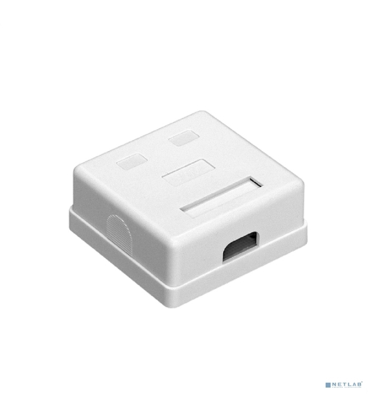 Розетка компьютерная двойная ExeGate SM2-RJ45-C6 RJ-45 кат.6 UTP Krone/110