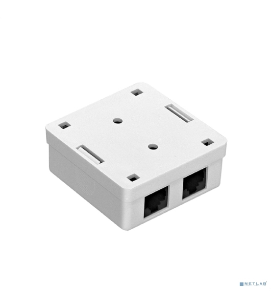 Розетка компьютерная двойная ExeGate SM2-RJ45-C6 RJ-45 кат.6 UTP Krone/110