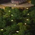 Гирлянда Neon-night Роса с контроллером 20м, 200 LED, IP20, 230В, зеленый провод, теплое белое свечение, фото4