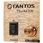 Усилитель Tantos TSo-AA30M выход 100Вт/30Вт, фото13