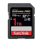 Флеш карта SANDISK SDXC 1Tb UHS-I SDSDXXD-1T00-GN4IN, фото4
