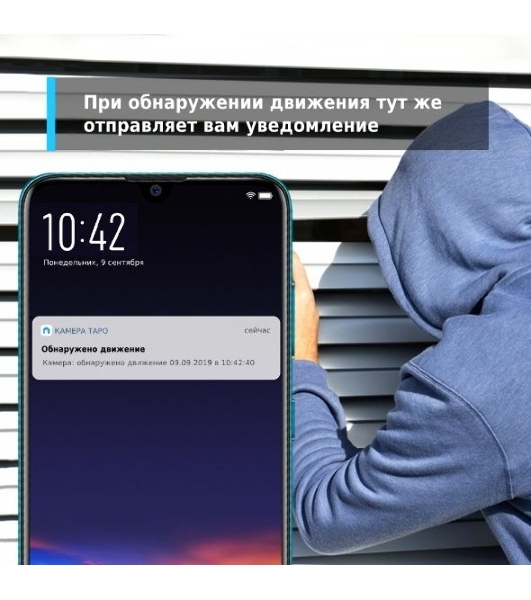 Домашняя Wi-Fi камера TP-Link Tapo C110