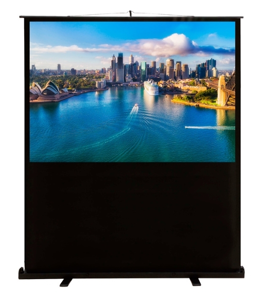 Экран Cactus 120x160 см FloorCompactExpert CS-PSFLCE-160X120 4:3 напольный рулонный