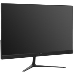 Моноблок Digma Action 23.8' Full HD N95 (1.7) 8Gb SSD 256Gb UHDG CR Windows 11 Pro GbitEth WiFi BT 60W клавиатура мышь Cam черный 1920x1080, фото16