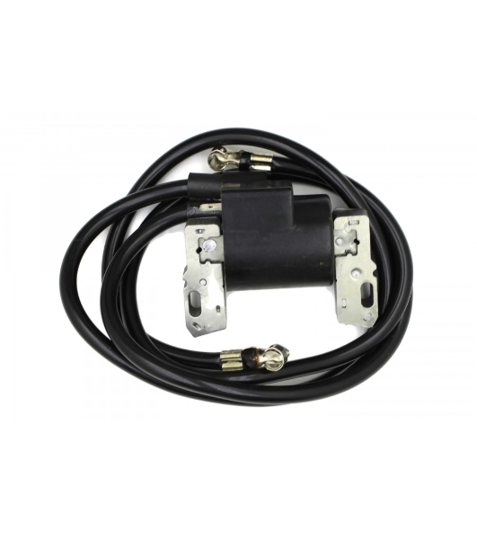 Катушка зажигания для Briggs&Stratton 394891/392329/590781/394988/462707/463707 131029