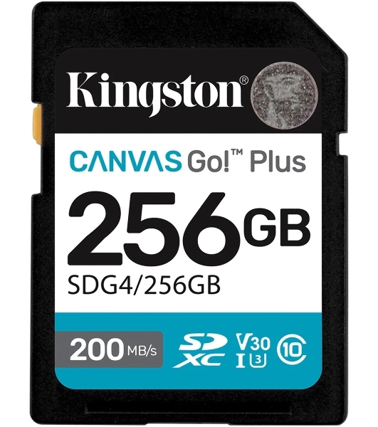 Флеш карта SDXC 256Gb Kingston SDG4/256Gb Canvas Go! Plus V30