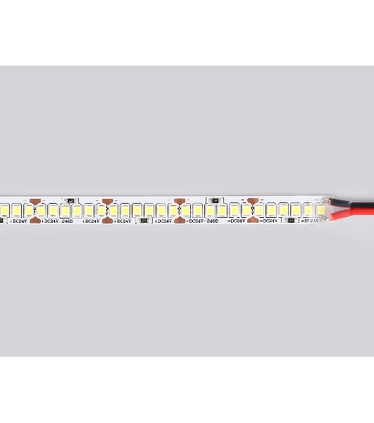 Светодиодная лента Ambrella light GS3503 2835 240Led /22W m/ 24V IP20 6500K/ 5000*10*1.2mm (2 конт.)