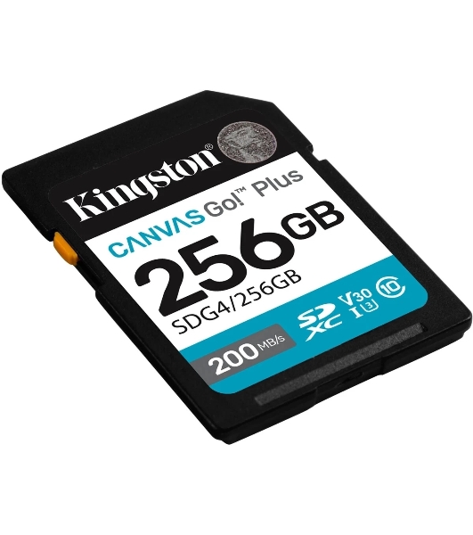 Флеш карта SDXC 256Gb Kingston SDG4/256Gb Canvas Go! Plus V30