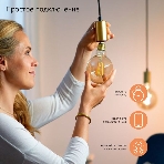 Лампа светодиодная филаментная Gauss Smart Home DIM E27 A60 7 Вт 1/10/40, фото2