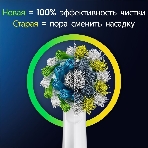 Электрическая зубная щетка Oral-B Cross Action Pro D305.513.3 бирюзовый, фото2