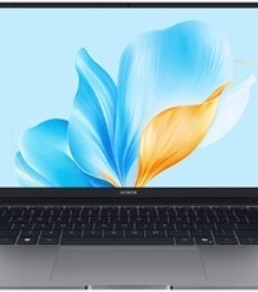 Ноутбук Honor MagicBook X14 Plus 2025 FermiB-5611 14', 2025, IPS, Intel Core 5 220H 2.7ГГц, 12-ядерный, 16Gb LPDDR4x, 1ТБ SSD, Intel Iris Xe graphics, Windows 11 Home, серый космос