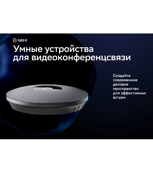 Микрофон Sber SDMIC-001
