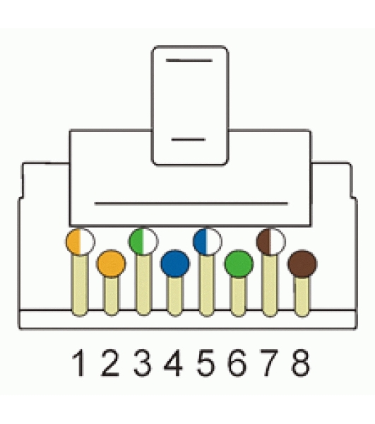 Коннектор Lanmaster RJ45 STP 8P8C, универсальный, для толстого кабеля, cat.6, 100 шт.
