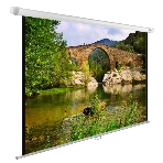 Экран Cactus 220x165 см WallExpert CS-PSWE-220x165-WT 1:1 настенно-потолочный рулонный белый, фото6