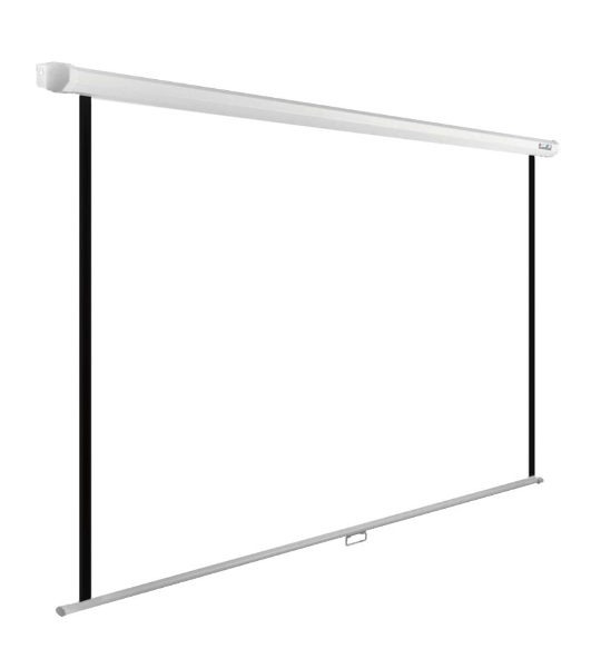 Экран Cactus 220x165 см WallExpert CS-PSWE-220x165-WT 1:1 настенно-потолочный рулонный белый