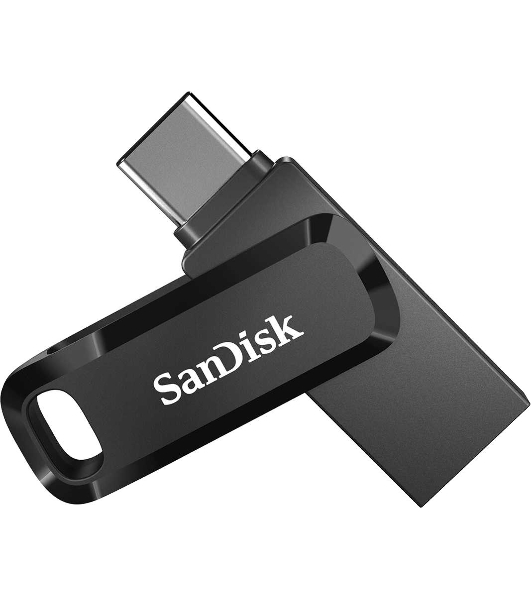 Флешка USB Sandisk USB-C 256Gb SDDDC3-256G-G46