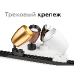 Корпус светильника C1125 PYG золото желтое полированное D70*60*H100mm MR16 GU5.3, фото4