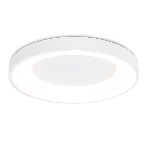 Потолочный светодиодный светильник Ambrella light FZ1401 WH белый IP20 48W 3000K-6500K D500*50 (ПДУ ИК), фото10