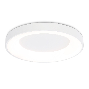 Потолочный светодиодный светильник Ambrella light FZ1401 WH белый IP20 48W 3000K-6500K D500*50 (ПДУ ИК)