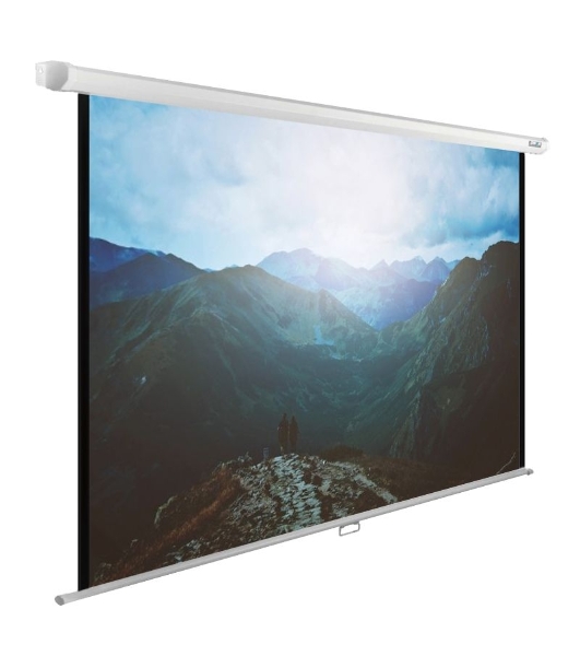 Экран Cactus 240x240 см WallExpert CS-PSWE-240x240-WT 1:1 настенно-потолочный рулонный