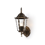 Уличный настенный светильник Ambrella light ST2012 GD/BK/CL золото/черный/прозрачный IP54 E27 max 40W 360*150*210, фото5