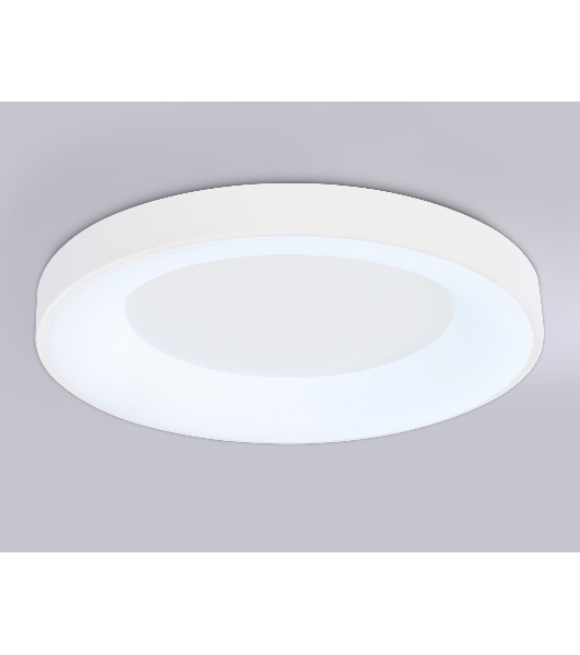 Потолочный светодиодный светильник Ambrella light FZ1401 WH белый IP20 48W 3000K-6500K D500*50 (ПДУ ИК)