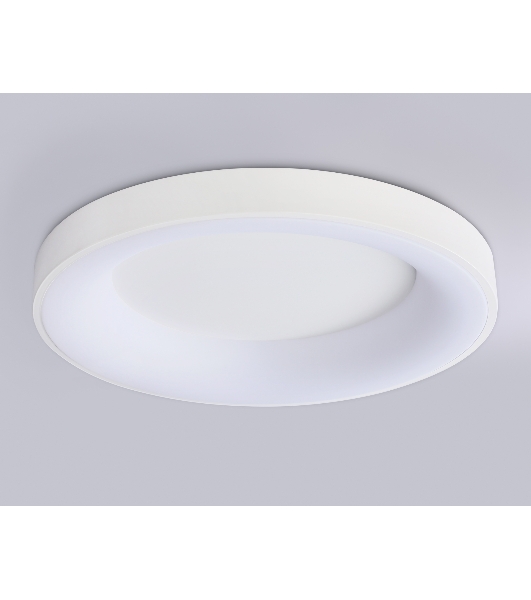 Потолочный светодиодный светильник Ambrella light FZ1401 WH белый IP20 48W 3000K-6500K D500*50 (ПДУ ИК)