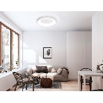 Потолочный светодиодный светильник Ambrella light FZ1401 WH белый IP20 48W 3000K-6500K D500*50 (ПДУ ИК), фото3