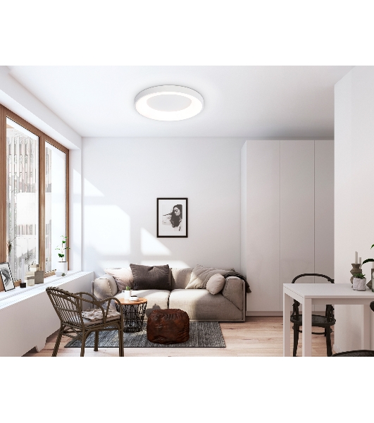 Потолочный светодиодный светильник Ambrella light FZ1401 WH белый IP20 48W 3000K-6500K D500*50 (ПДУ ИК)