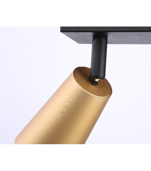 Накладной поворотный спот Ambrella light TA13146/2 BK/GD черный/золото GU10/2 max 12W 295*60*130
