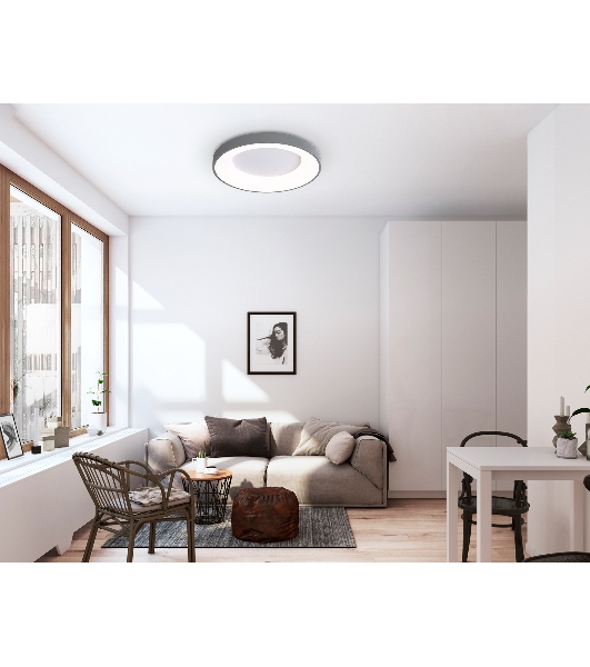 Потолочный светодиодный светильник Ambrella light FZ1402 GR серый IP20 48W 3000K-6500K D500*50 (ПДУ ИК)