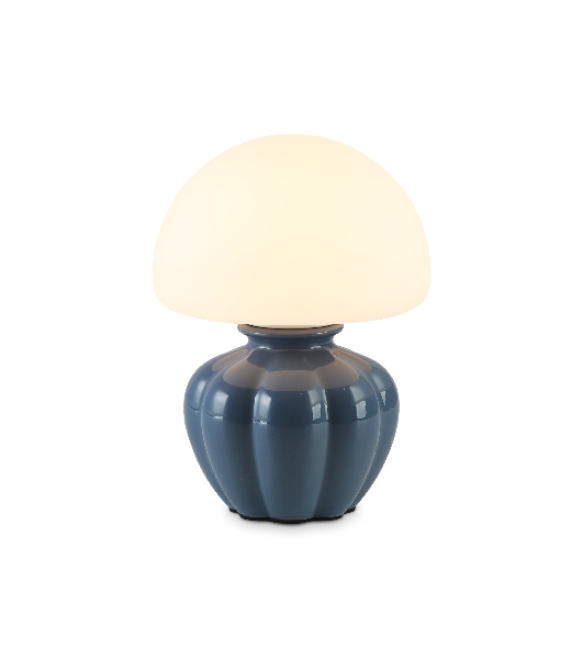 Светильник Ambrella light LH53248 GB/WH серо-синий/белый G9 max 28W D165*220