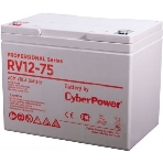 Батарея для ИБП PS CyberPower Professional series RV 12500W/12V 150Ah operational life 12 years, фото2