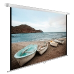 Экран Cactus 138x220см WallExpert CS-PSWE-220x138-WT 16:10 настенно-потолочный рулонный белый, фото 1